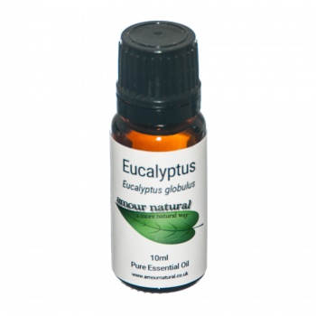 Eucalyptus Pure essential oil, organic 10ml