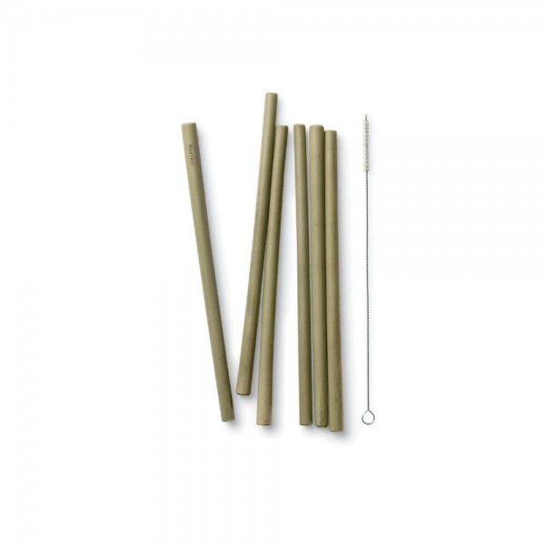Bamboo Straws x 6 With Brush