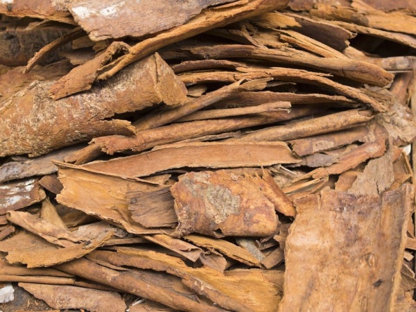 Cassia Bark (Cinnamon)