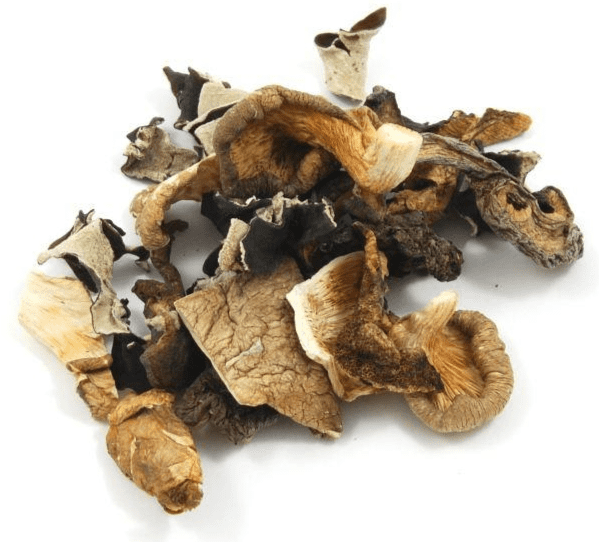 Dried Mixed Forest Mushrooms