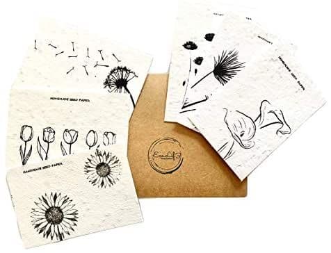 Plantable Seed Cards - 6 Pack