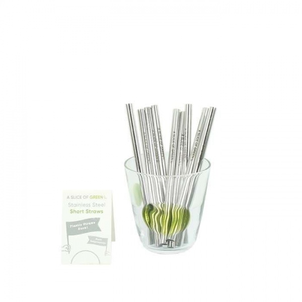 Stainless Steel Straw - Mini - Single